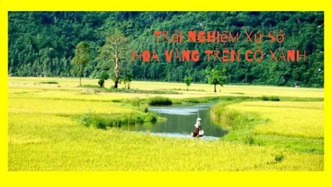 Tìm cách để bạn nam thoát ra khỏi căn phòng an toàn?