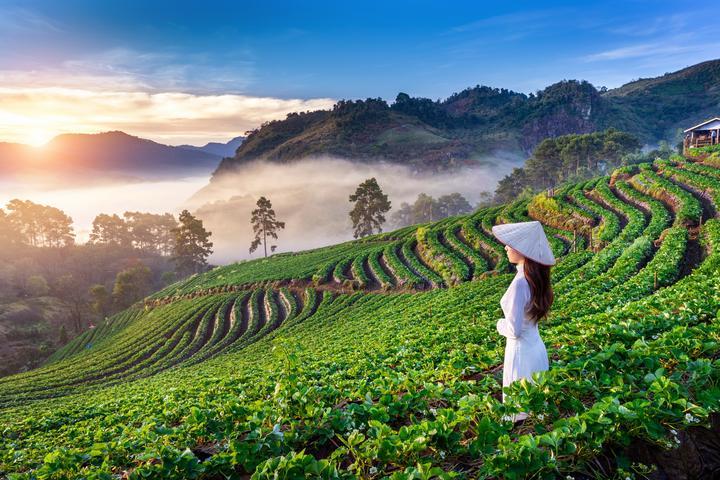 Từ Phòng chật đến đâu giường ngủ đến chiến lược content: Hotspot Matrix chia sẻ_Hệ thống gửi video tự động ngắn