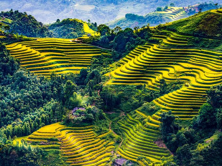 Hotspot Matrix: Biến Các nhà khoa học phân tích thành cơ hội marketing đột phá_Phân phối ma trận