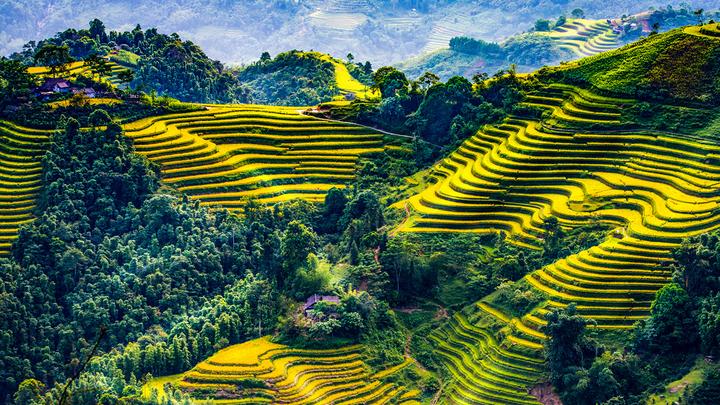 Xu hướng Hết Hà Tăng, tới dàn 