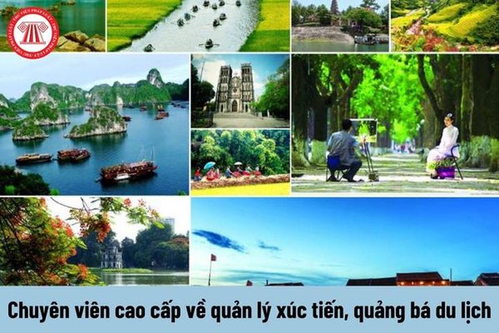 Mẹ đơn thân ở Vĩnh Yên và hành trình tìm lại chính mình cùng Hotspot Matrix